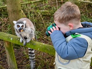 Nursery children visited Hoo Zoo as part of the new work experience sessions 