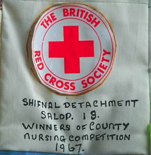 Red Cross achievements marked