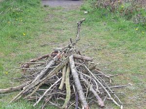 Supporting image for story: Police alert after evidence of bonfires found in wooded area of Telford