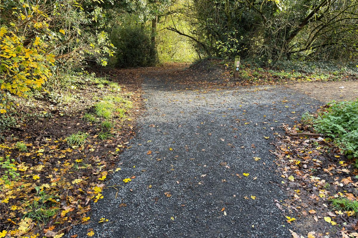 Residents enjoy fruits of &pound;43k footpath improvement project at popular Willenhall beauty spot