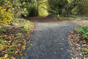 Rough Wood Local Nature Reserve in Willenhall 