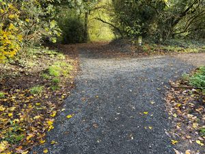 Supporting image for story: Residents enjoy fruits of £43k footpath improvement project at popular Willenhall beauty spot