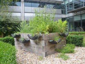 Supporting image for story: Toyota staff recycle tyres and desk bins to create on-site allotment