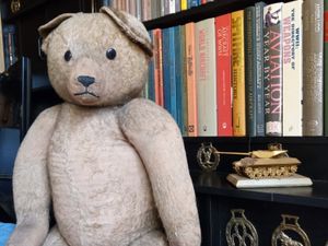 Supporting image for story: Stafford man's Second World War teddy up for auction
