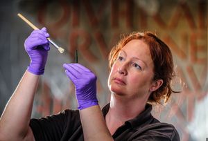 A conservationist at Wroxeter Roman City examines a pair of tweezers used to remove armpit hair from Roman men and women