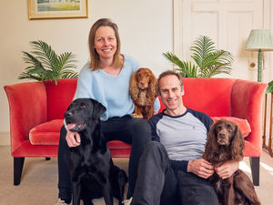 Supporting image for story: Telford pet food company Different Dog gets leadership boost from Bridgnorth firm