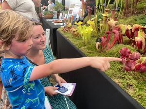 admiring the carnivorous plants that won the main trophy, six year old Rowan and Mum, Jeanette from Shrewsbury
