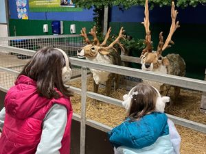 Supporting image for story: Santa and his elves heading to Oswestry farm park