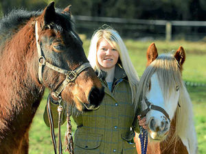 Supporting image for story: Runaway Sedgley horses reunited with owner