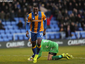 Supporting image for story: Freddie Ladapo happy to be the joker in the Shrewsbury Town pack