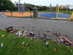 Supporting image for story: 'It's horrible to look at': Residents call for support in cleaning Phoenix Park following fireworks