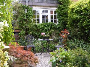 Supporting image for story: Take time out this Easter weekend to visit an open garden in Powys and support charities