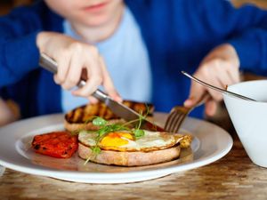 Supporting image for story: Where kids can eat for free – or for £1 – in the Black Country and Staffordshire 