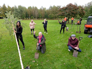 Supporting image for story: First trees planted in Walsall green space project