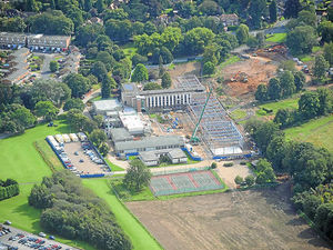 Supporting image for story: Firm to pay £11,000 for cutting down tree at Wolves training site