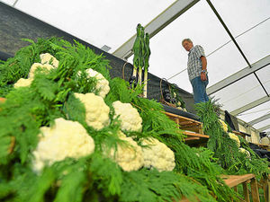 Supporting image for story: What's on this weekend - August 9th