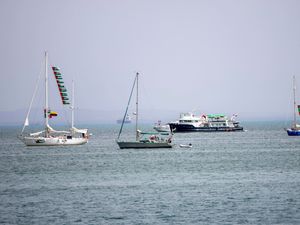 Supporting image for story: Irish senator on board Gaza-bound aid flotilla ‘detained by Israel’ – Sinn Fein