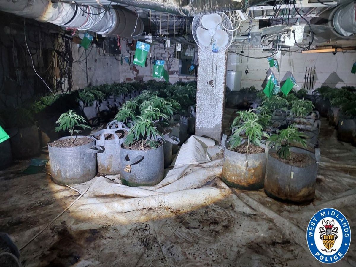 Dangerous West Midlands cannabis farm has been shut down by police and a man arrested