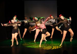 Staffordshire Community Dance Project 22/03/26