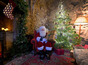 Supporting image for story: Ludlow Castle's 'reverse grotto' proves a festive hit to help families in need