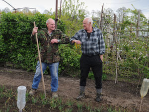 Supporting image for story: Growing popularity: Why people in Shropshire are rushing to allotments and gardening