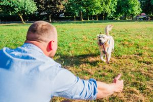 Almost half of dog owners in the West Midlands say it’s important for their partner to get along with their dog