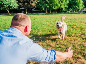 Supporting image for story: Would you dump someone if your dog disapproved? One in 10 owners in the West Midlands would, finds survey