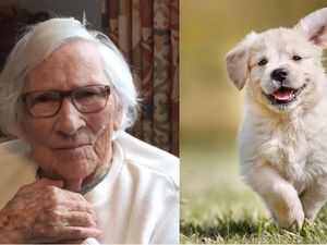 Supporting image for story: ‘That’s how I roll’: Why this 97-year-old watches the same film every night