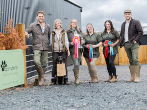 Supporting image for story: Jobs boost as Shropshire dog daycare business launches £250,000 new facility