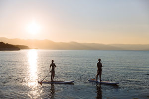 Get a degree in surfing