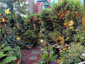 Supporting image for story: Lanterns to cast a glow over garden delights