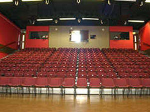 Supporting image for story: Theatre hit as sales fall