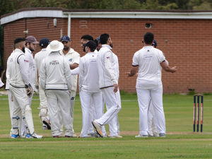 Supporting image for story: End of an innings: It’s game over for Hawks