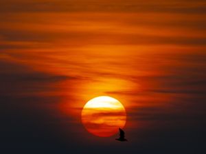 Supporting image for story: Last seven years hottest on record, UN experts say as Cop26 kicks off