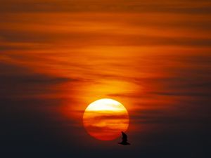 Supporting image for story: Last seven years hottest on record, UN experts say as Cop26 kicks off