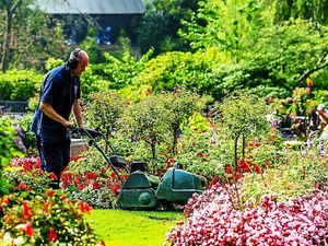 Supporting image for story: Oswestry and Shrewsbury in the running for Britain in Bloom finals