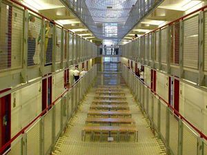 Supporting image for story: Jail for thug who attacked police dog handler