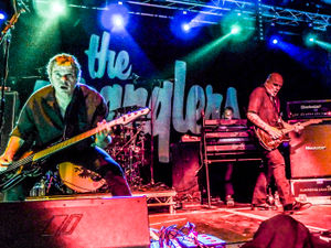 Supporting image for story: The Stranglers in Birmingham