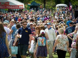 Supporting image for story: Festival will be serving visitors treats