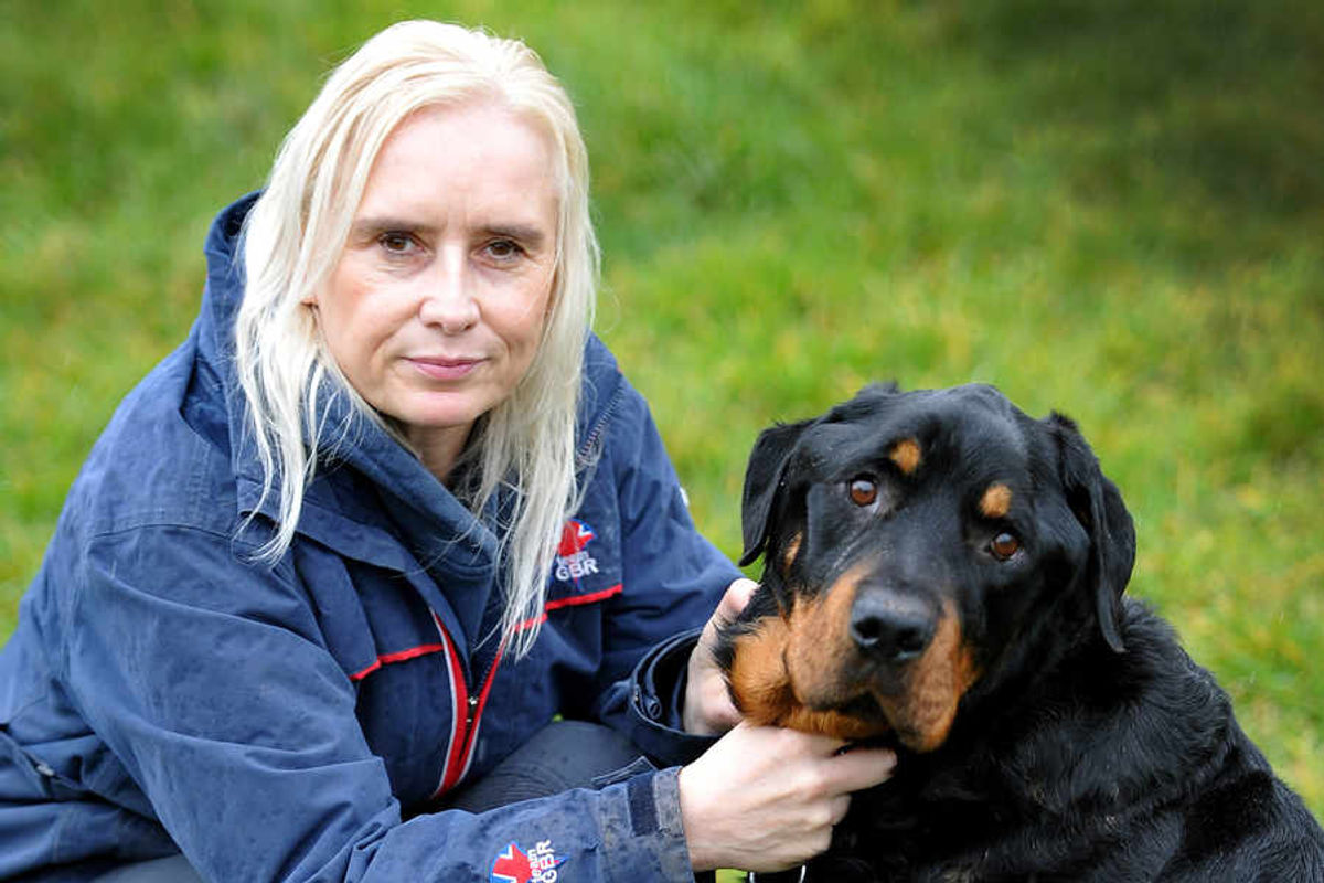 Poorly Rottweiler to be vaccine 'guinea pig' after mystery illness ...