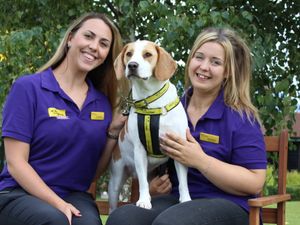 Supporting image for story: Shropshire dog trainer Beth up for national award