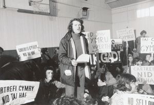 ‘Homes for Welsh people, not second homes’:Campaigning in 1972