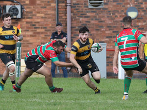 Supporting image for story: Hornets beaten, but success for Shrews