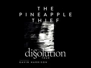 Supporting image for story: The Pineapple Thief to play Birmingham