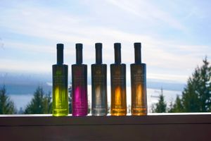 West Midlands luxury vodka brand Jatt Life is set for a fourfold increase in supply to Canada in order to meet the growing demand for its premium spirit, particularly in Vancouver.