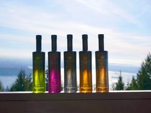 Supporting image for story: Kingswinford vodka firm Jatt Life raises a toast to Canadian partnership as it ramps up its supply