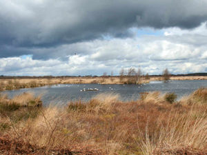 Supporting image for story: Café and shop planned near Shropshire nature reserve