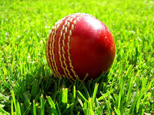 Supporting image for story: Warwickshire shine under lights