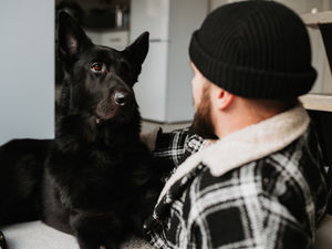 Supporting image for story: Emotional Newport man thanks supporters after social media celebrity dog's life-changing diagnosis