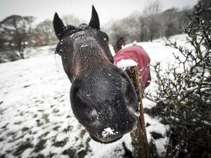 Supporting image for story: Star Witness: Winter Weather